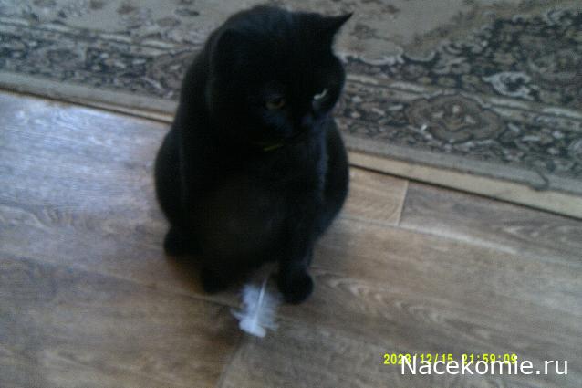 Eva1949 - Дом мечты-души моей воспоминания; 1Abrikoska - Мой гостеприимный дом