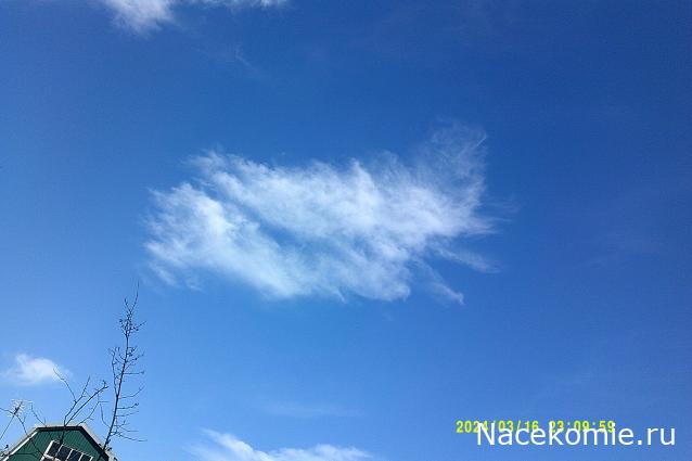 Eva1949 - Дом мечты-души моей воспоминания; 1Abrikoska - Мой гостеприимный дом