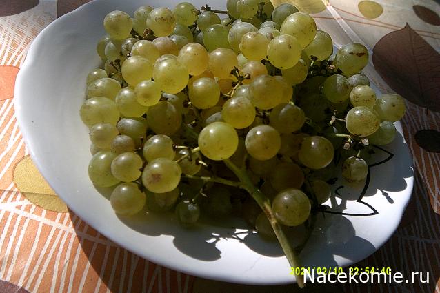 Eva1949 - Дом мечты-души моей воспоминания; 1Abrikoska - Мой гостеприимный дом