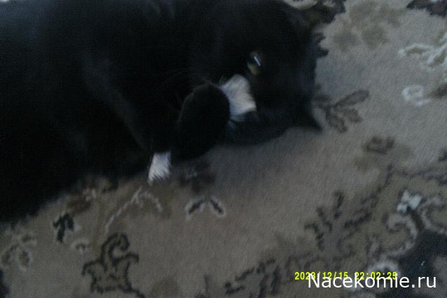 Eva1949 - Дом мечты-души моей воспоминания; 1Abrikoska - Мой гостеприимный дом