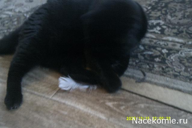 Eva1949 - Дом мечты-души моей воспоминания; 1Abrikoska - Мой гостеприимный дом