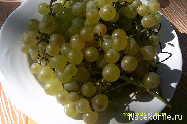 Eva1949 - Дом мечты-души моей воспоминания; 1Abrikoska - Мой гостеприимный дом