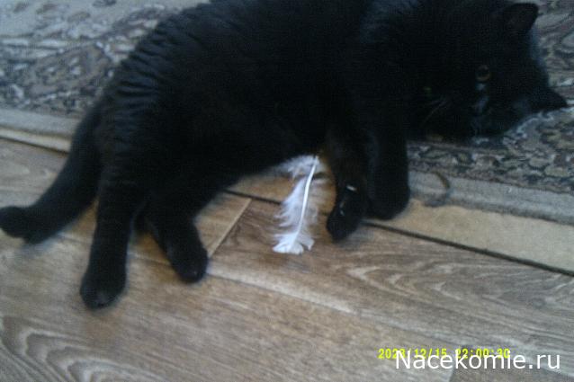 Eva1949 - Дом мечты-души моей воспоминания; 1Abrikoska - Мой гостеприимный дом