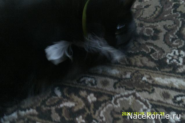 Eva1949 - Дом мечты-души моей воспоминания; 1Abrikoska - Мой гостеприимный дом