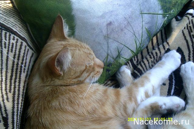 Eva1949 - Дом мечты-души моей воспоминания; 1Abrikoska - Мой гостеприимный дом