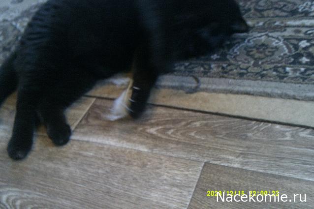 Eva1949 - Дом мечты-души моей воспоминания; 1Abrikoska - Мой гостеприимный дом