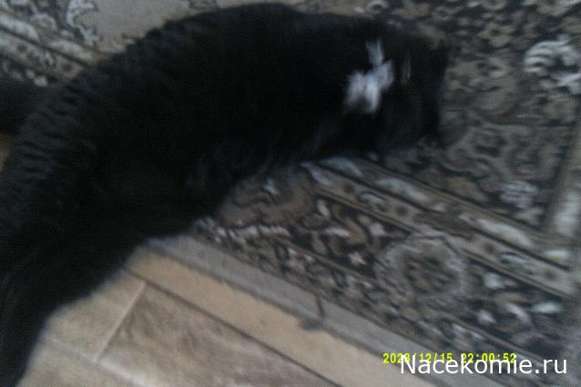 Eva1949 - Дом мечты-души моей воспоминания; 1Abrikoska - Мой гостеприимный дом