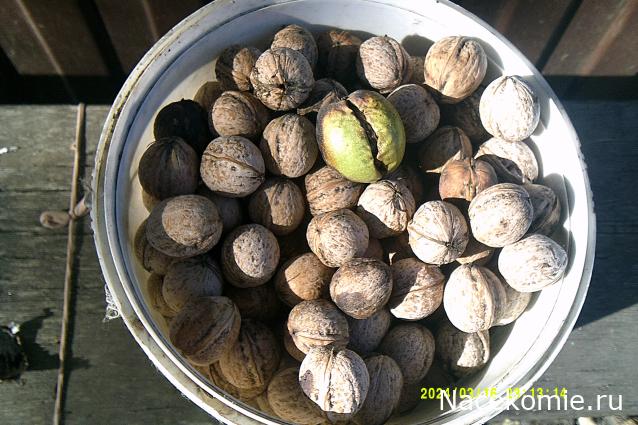 Eva1949 - Дом мечты-души моей воспоминания; 1Abrikoska - Мой гостеприимный дом