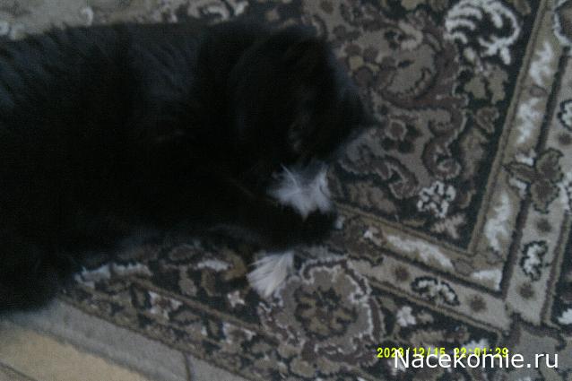 Eva1949 - Дом мечты-души моей воспоминания; 1Abrikoska - Мой гостеприимный дом