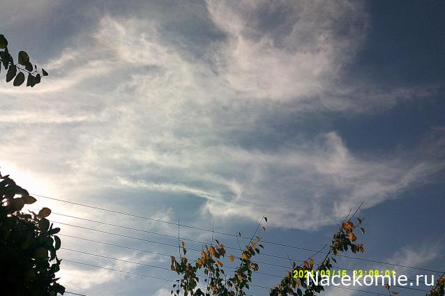 Eva1949 - Дом мечты-души моей воспоминания; 1Abrikoska - Мой гостеприимный дом