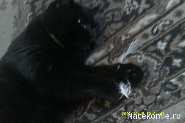 Eva1949 - Дом мечты-души моей воспоминания; 1Abrikoska - Мой гостеприимный дом