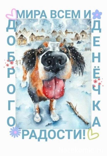 Liana65-Snegana - Мой будущий дом и его обитатели.