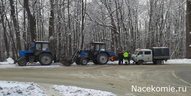 Автолегенды вживую