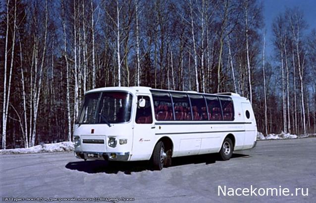Наши Автобусы №70 - ПАЗ-Турист-Люкс 8,5
