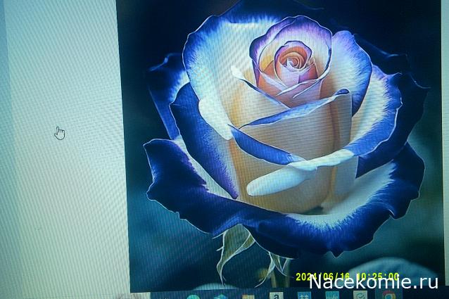 Eva1949 - Дом мечты-души моей воспоминания; 1Abrikoska - Мой гостеприимный дом