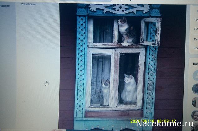 Eva1949 - Дом мечты-души моей воспоминания; 1Abrikoska - Мой гостеприимный дом