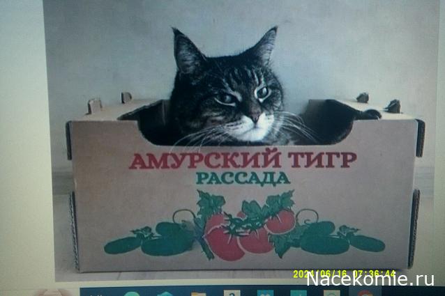 Eva1949 - Дом мечты-души моей воспоминания; 1Abrikoska - Мой гостеприимный дом