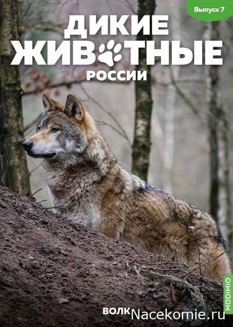Дикие животные России (MODIMIO)