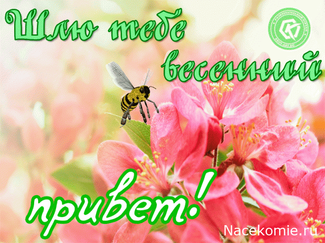 Eva1949 - Дом мечты-души моей воспоминания; 1Abrikoska - Мой гостеприимный дом