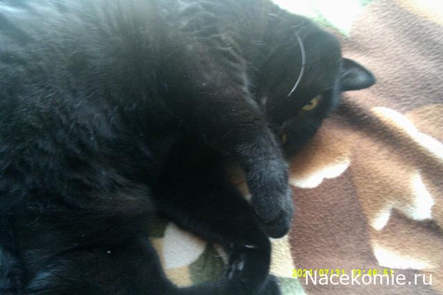 Eva1949 - Дом мечты-души моей воспоминания; 1Abrikoska - Мой гостеприимный дом