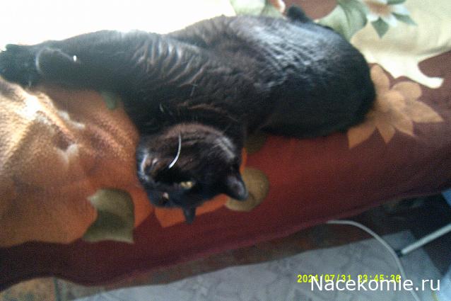 Eva1949 - Дом мечты-души моей воспоминания; 1Abrikoska - Мой гостеприимный дом