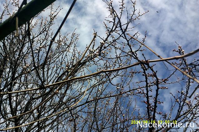 Eva1949 - Дом мечты-души моей воспоминания; 1Abrikoska - Мой гостеприимный дом