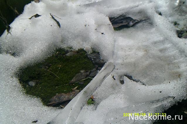 Eva1949 - Дом мечты-души моей воспоминания; 1Abrikoska - Мой гостеприимный дом