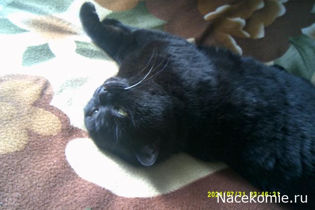 Eva1949 - Дом мечты-души моей воспоминания; 1Abrikoska - Мой гостеприимный дом