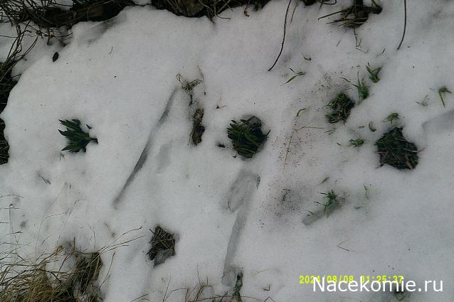 Eva1949 - Дом мечты-души моей воспоминания; 1Abrikoska - Мой гостеприимный дом