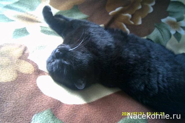 Eva1949 - Дом мечты-души моей воспоминания; 1Abrikoska - Мой гостеприимный дом