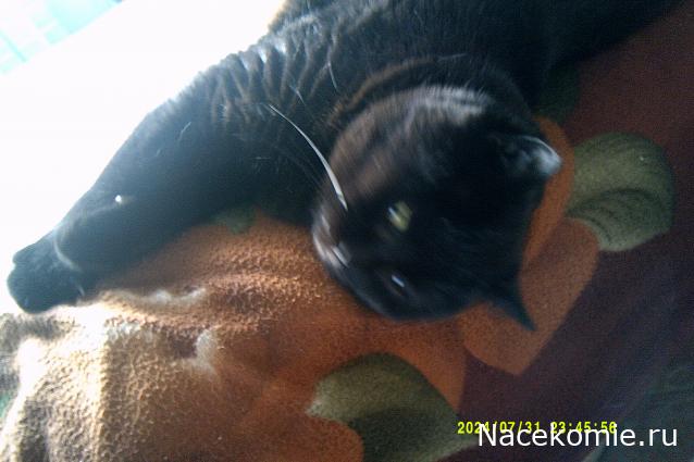 Eva1949 - Дом мечты-души моей воспоминания; 1Abrikoska - Мой гостеприимный дом