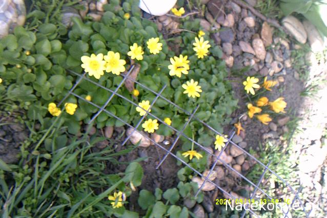 Eva1949 - Дом мечты-души моей воспоминания; 1Abrikoska - Мой гостеприимный дом