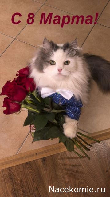 Eva1949 - Дом мечты-души моей воспоминания; 1Abrikoska - Мой гостеприимный дом