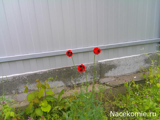 Eva1949 - Дом мечты-души моей воспоминания; 1Abrikoska - Мой гостеприимный дом