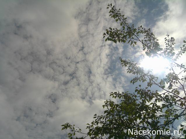 Eva1949 - Дом мечты-души моей воспоминания; 1Abrikoska - Мой гостеприимный дом