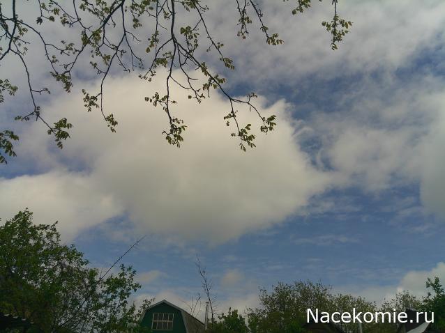 Eva1949 - Дом мечты-души моей воспоминания; 1Abrikoska - Мой гостеприимный дом