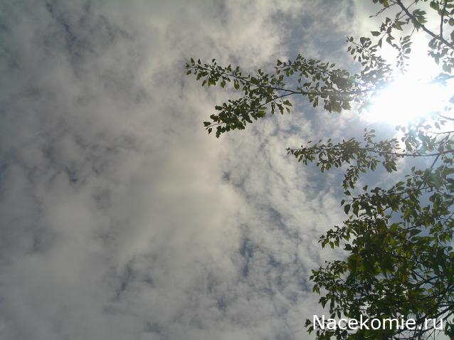 Eva1949 - Дом мечты-души моей воспоминания; 1Abrikoska - Мой гостеприимный дом