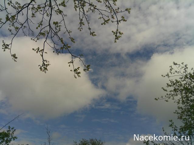 Eva1949 - Дом мечты-души моей воспоминания; 1Abrikoska - Мой гостеприимный дом