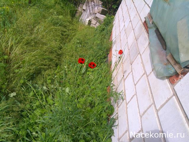 Eva1949 - Дом мечты-души моей воспоминания; 1Abrikoska - Мой гостеприимный дом