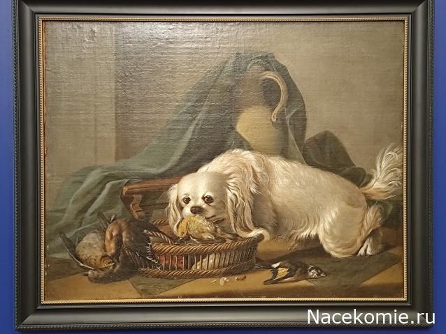 "Живой уголок"