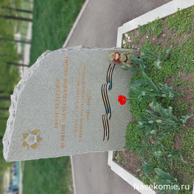 olga63- не знаю что получится