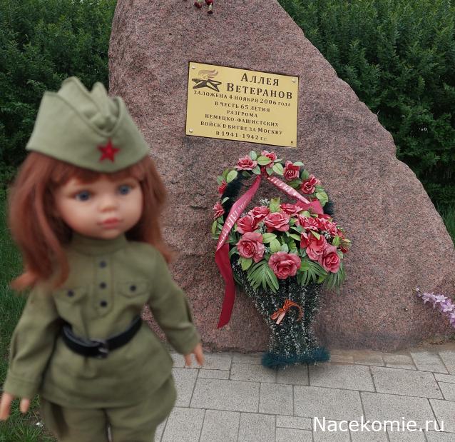 olga63- не знаю что получится