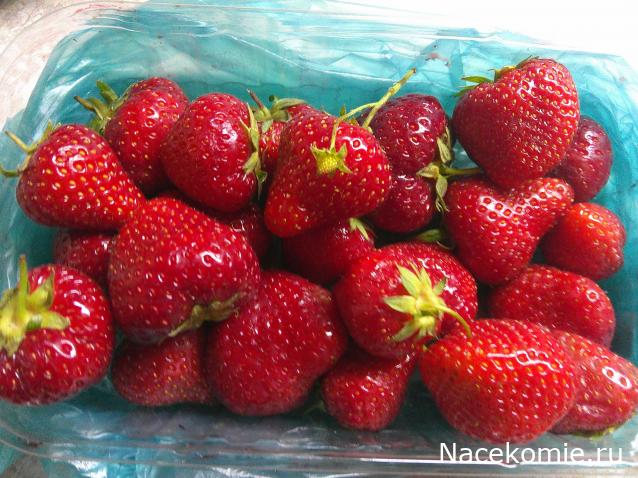 Eva1949 - Дом мечты-души моей воспоминания; 1Abrikoska - Мой гостеприимный дом