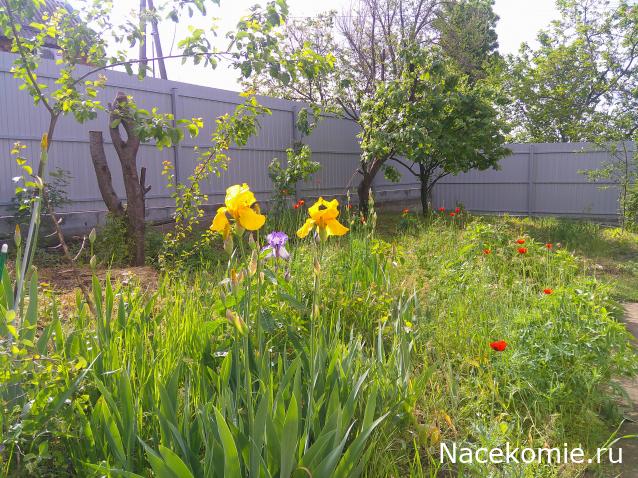 Eva1949 - Дом мечты-души моей воспоминания; 1Abrikoska - Мой гостеприимный дом