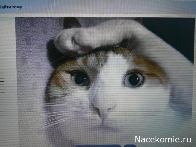 Eva1949 - Дом мечты-души моей воспоминания; 1Abrikoska - Мой гостеприимный дом