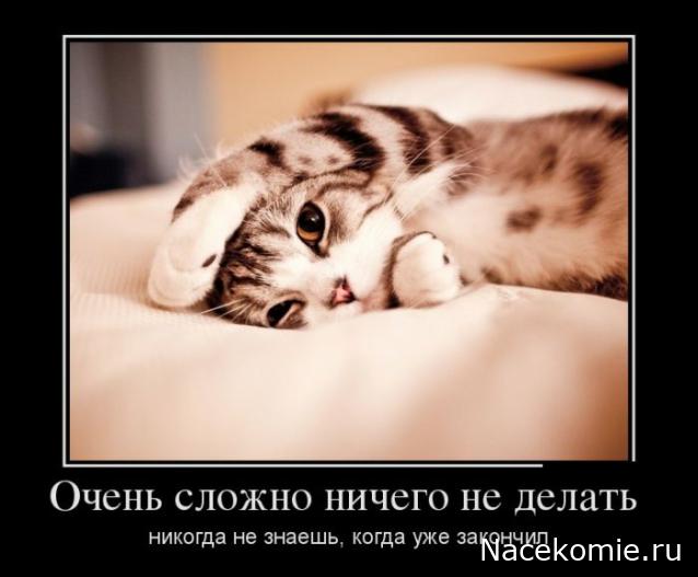 Eva1949 - Дом мечты-души моей воспоминания; 1Abrikoska - Мой гостеприимный дом