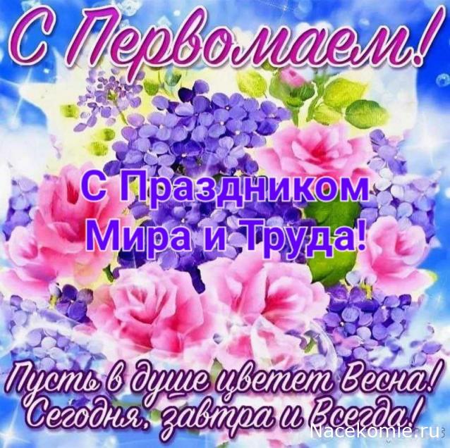 Margaritka