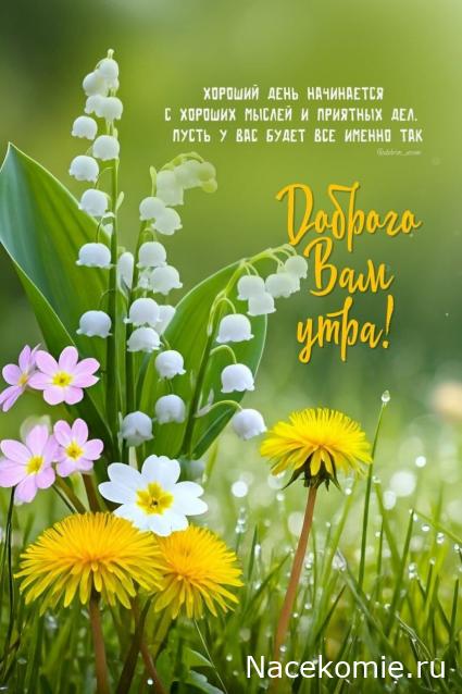 Liana65-Snegana - Мой будущий дом и его обитатели.