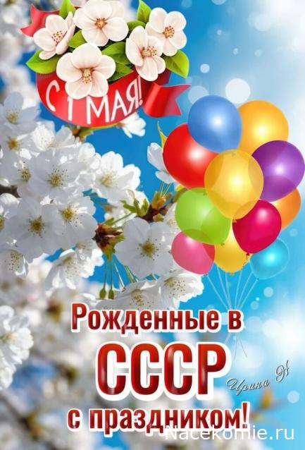 Праздник каждый день - поздравлялка Авторазделов