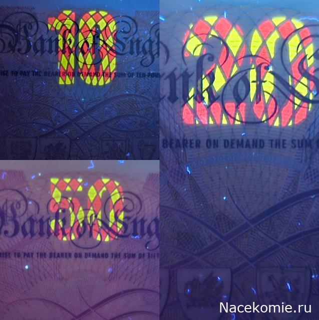 Коллекция alexenamel